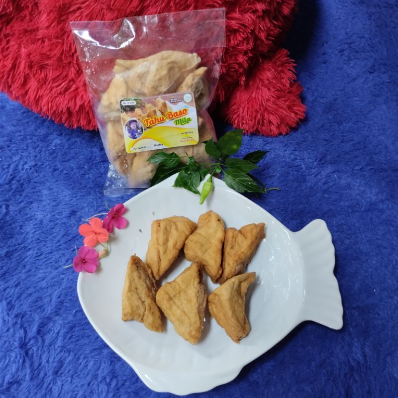 

Tahu Baso Mila// Home-made Frozen Food tanpa pengawet// Tahu Baso Isi 10
