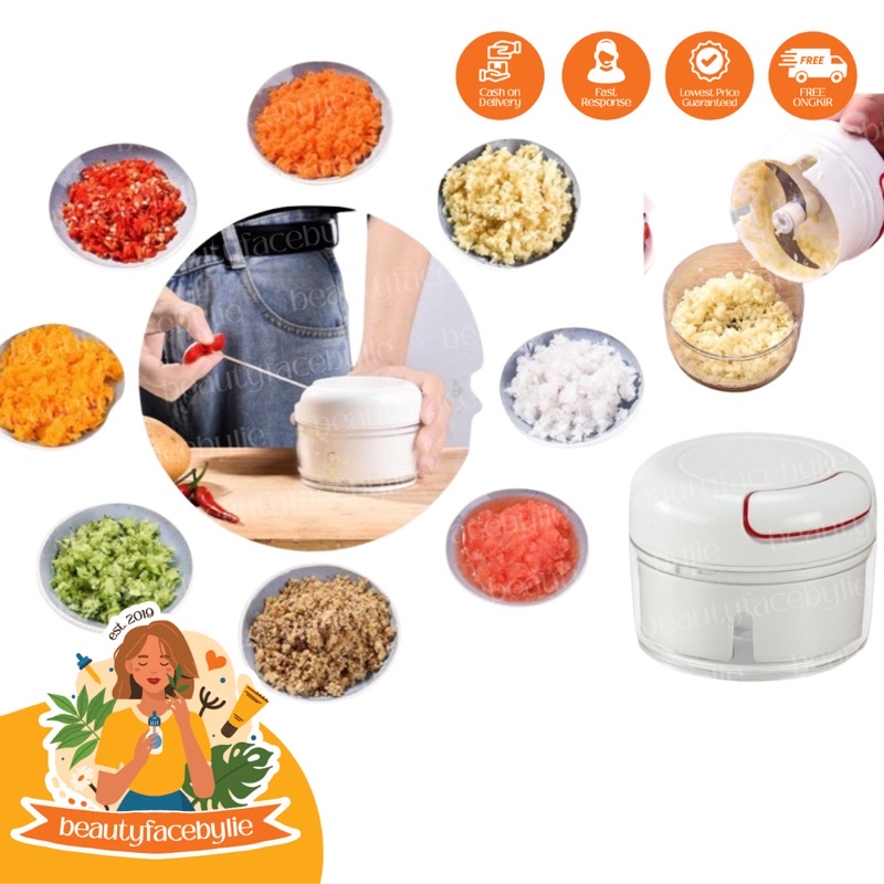 Mini Chopper Blender Manual