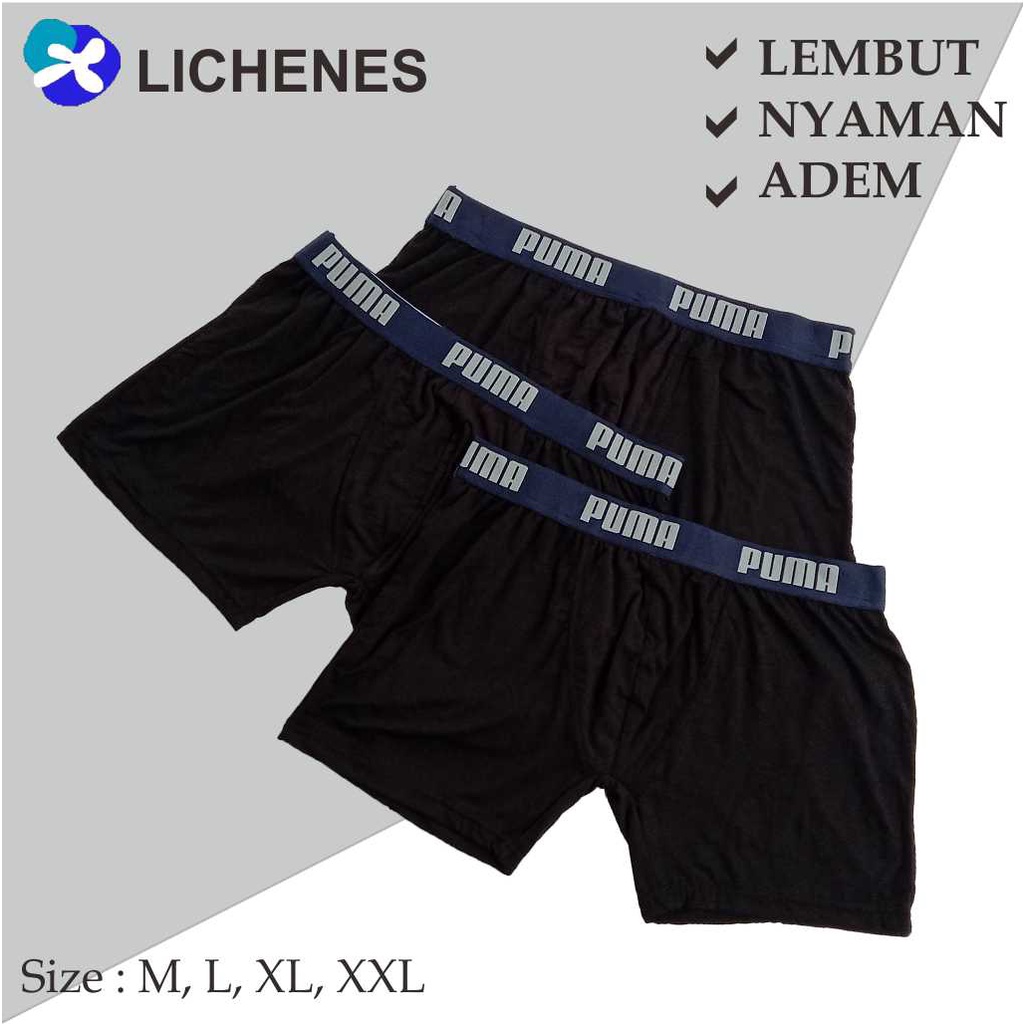 Celana Dalam Pria Boxer Underwear (paket isi 5) Random