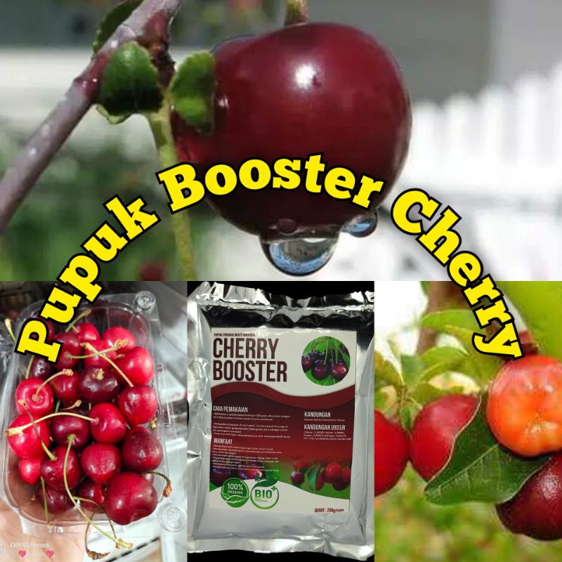 Pupuk booster buah CheryMurah Pupuk booster buah organik non kimia pupuk cair kilat npk urea merah p