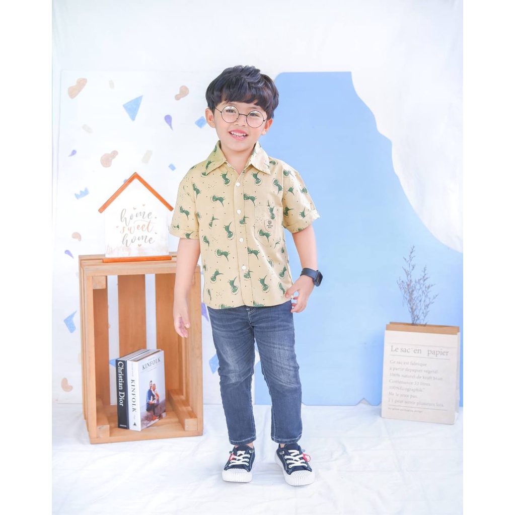 Kemeja Poplin Baby Leo by Mother Kids