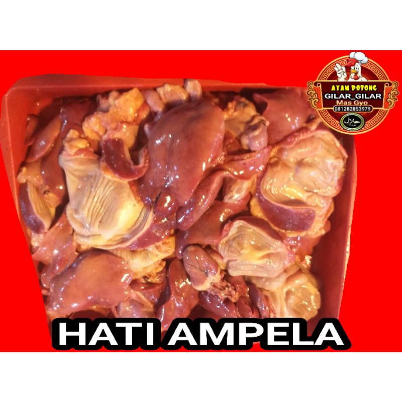 

Hati Ampela