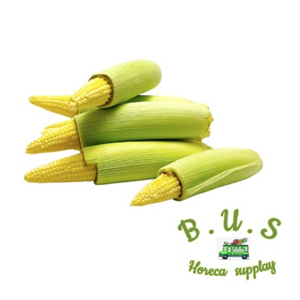 

Jagung Acar/Baby Corn 1Kg B.U.S