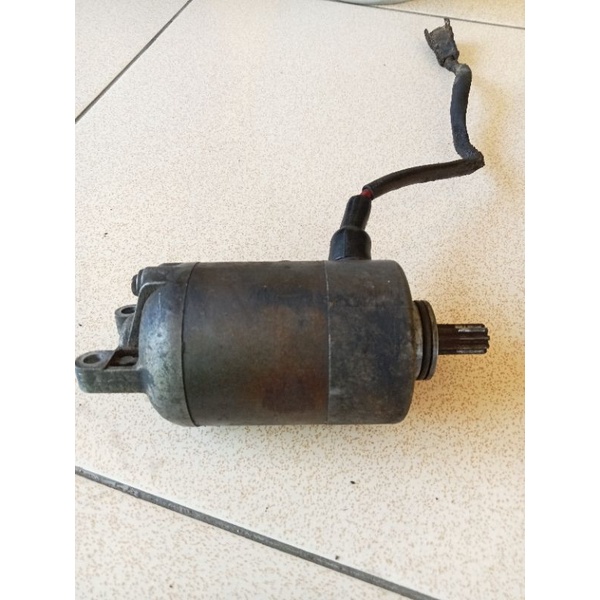 dinamo stater mio lama,smile,sporty