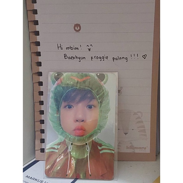 pc baekhyun kodok