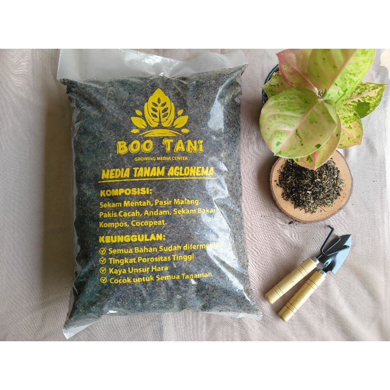 MEDIA TANAM AGLAONEMA/ MEDIA TANAM FERMENTASI/ MEDIA TANAM PREMIUM/ MEDIA TANAM PILIHAN
