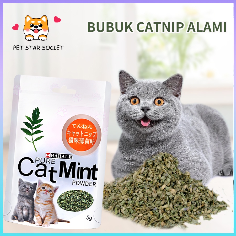 Catnip SASET Ganja Mainan Kucing Obat Catmint Penenang Serbuk Rumput Kering Cat nip Mint Stres Murah