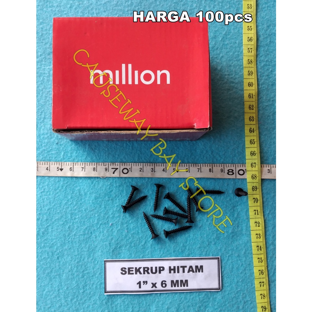 SEKRUP HITAM 1 INCH x 6MM (Harga per 100pcs)