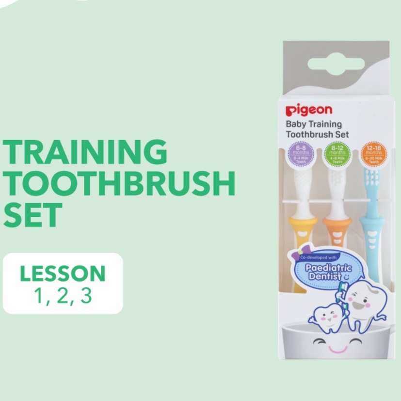 PIGEON TRAINING TOOTHBRUSH LESSON 123 SET MIX