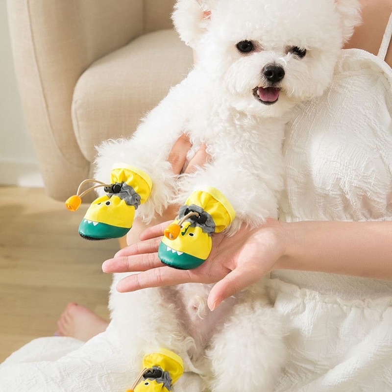 Dino hipi waterproof shoes