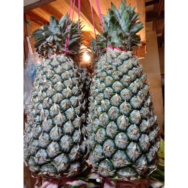 

nanas 1pcs Rp 14.000