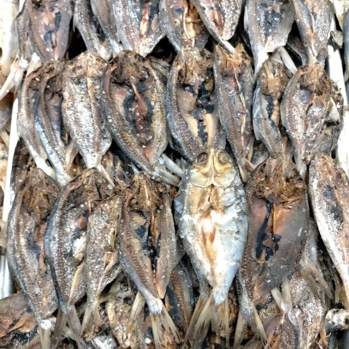 

NEW SALE IKAN ASIN BANDENG 250GR PENGIRIMAN CEPAT