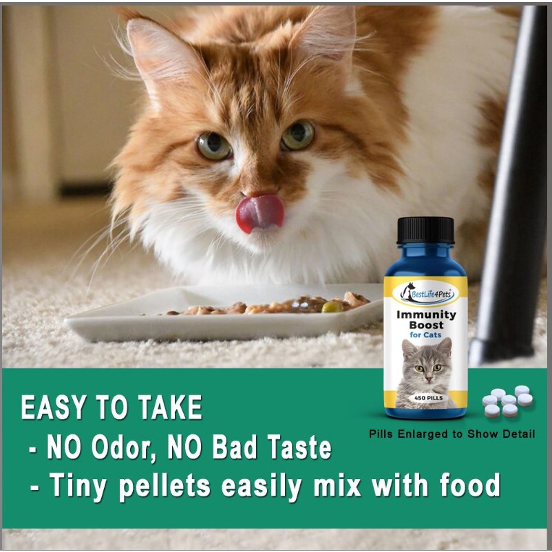 Best Life 4Pets Immunity Boost | isi 30 Tablet