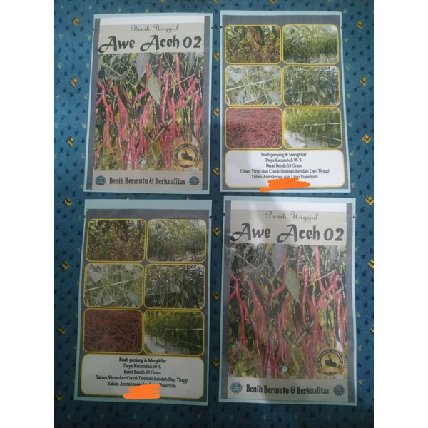Awe Aceh 02