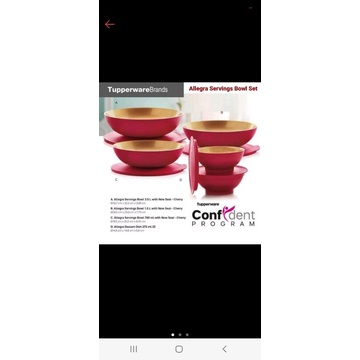 allegra bowl tupperware (3)