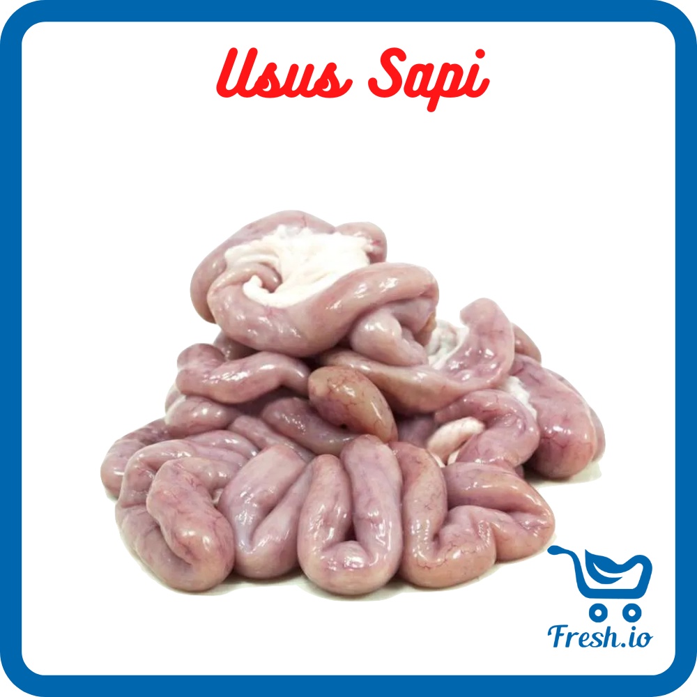 

Usus Sapi