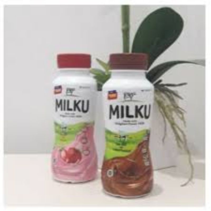 

TERMURAH Milku Asli 350 ml (1 pack =12botol ) GOJEK /GRAB ONLY