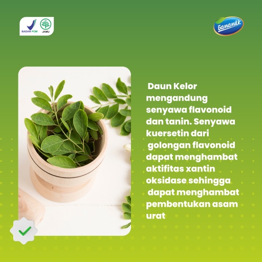 SUSU ETAWA GAMAT GAMAMILK 100% ORI - Solusi Atasi Masalah Asam Urat, Rematik, Sendi dan Tulang