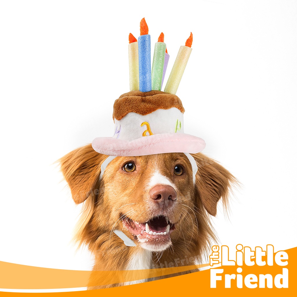 Topi Kostum Perayaan Ulang Tahun Anjing Kucing / Dog Cat Birthday Hat