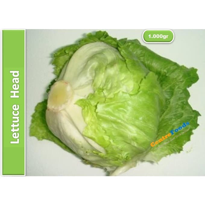 

Lettuce Head Iceberg - Salada Kepala | 1.000gr [ Harga Per KG ]