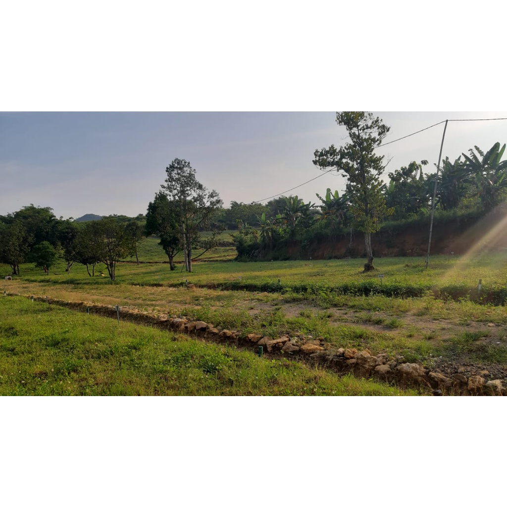 Tanah Kavling Cibubur Ramai Penduduk