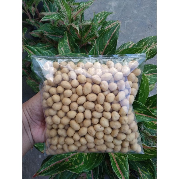 

kacang bawang 250gr