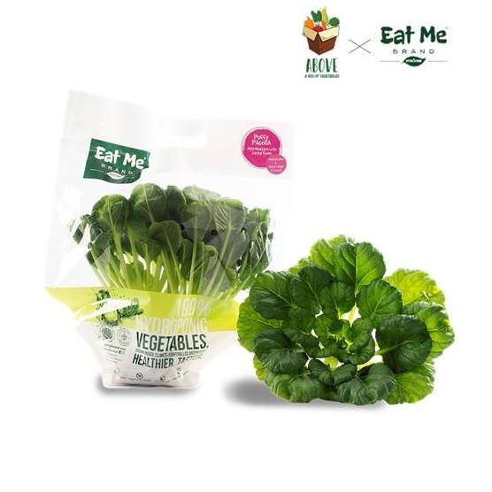 

Puffy Pagoda Pack Hidroponik- ABOVE x EATME Brand