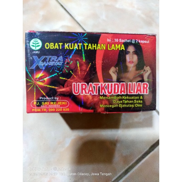 Urat kuda liar kapsul