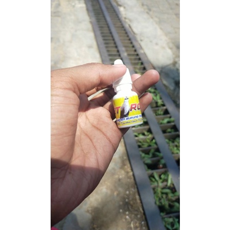 doping burung trucuk