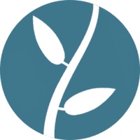 Lumion 11.5 Pro Full Version