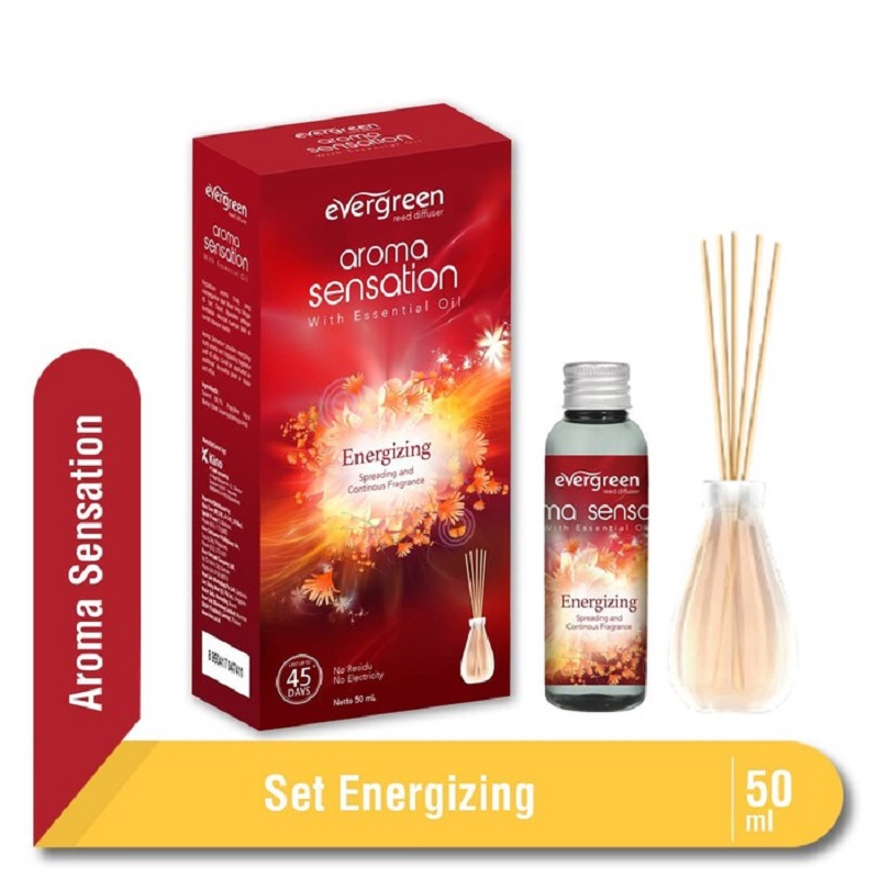 Evergreen Reed Diffuser Aroma Sensation With Essential Oil - Pengharum Ruangan 50ml (Set/Reffil)
