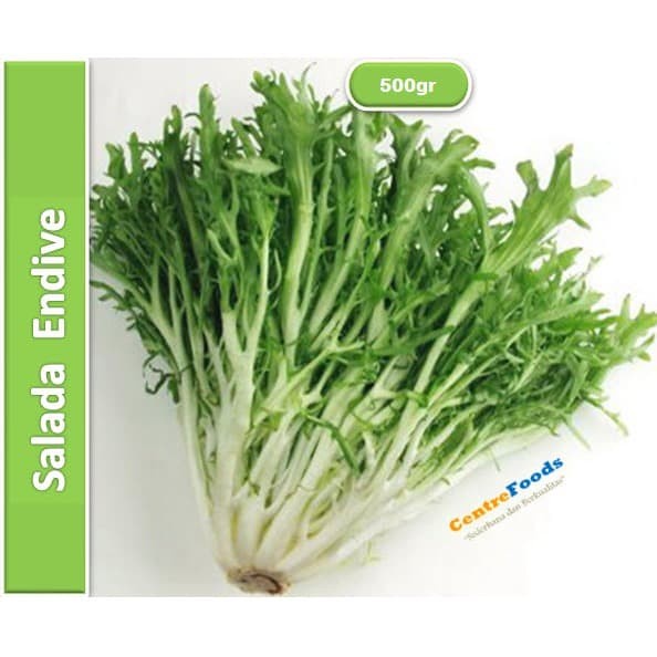 

Salada Endive - Selada Andewi Keriting | 500gr [ Harga Per 0,5 Kg ]