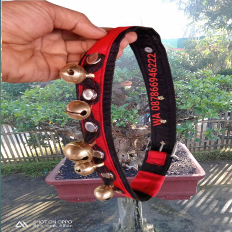 kalung kambing 5 lonceng