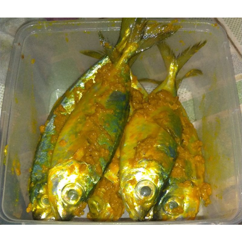 

IKAN KEMBUNG BUMBU KUNING isi 5