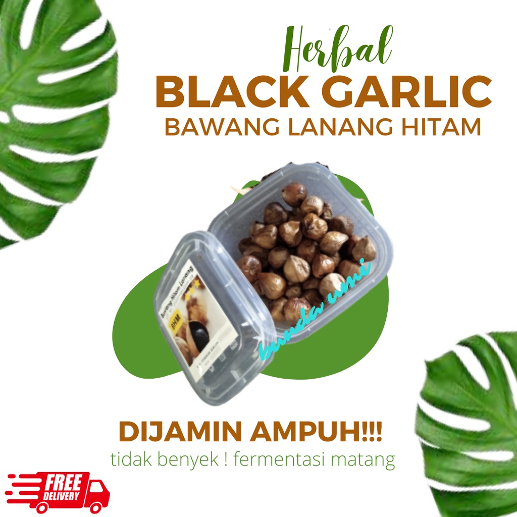 

Black Garlic 250 Gram Bawang Hitam Tunggal Lanang BHM Murah Antivirus Makanan Sehat Herbal Diabetes