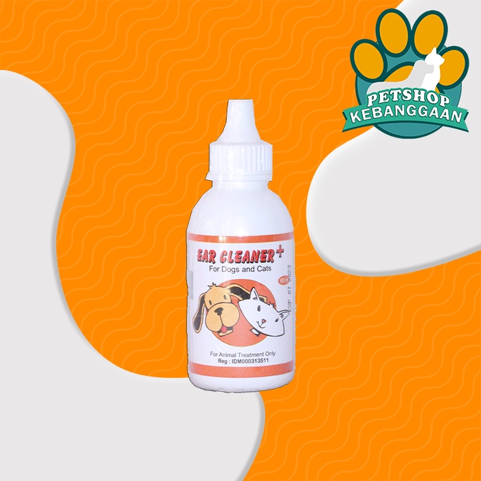Obat Pembersih Telingga Raid All Ears Cleaner