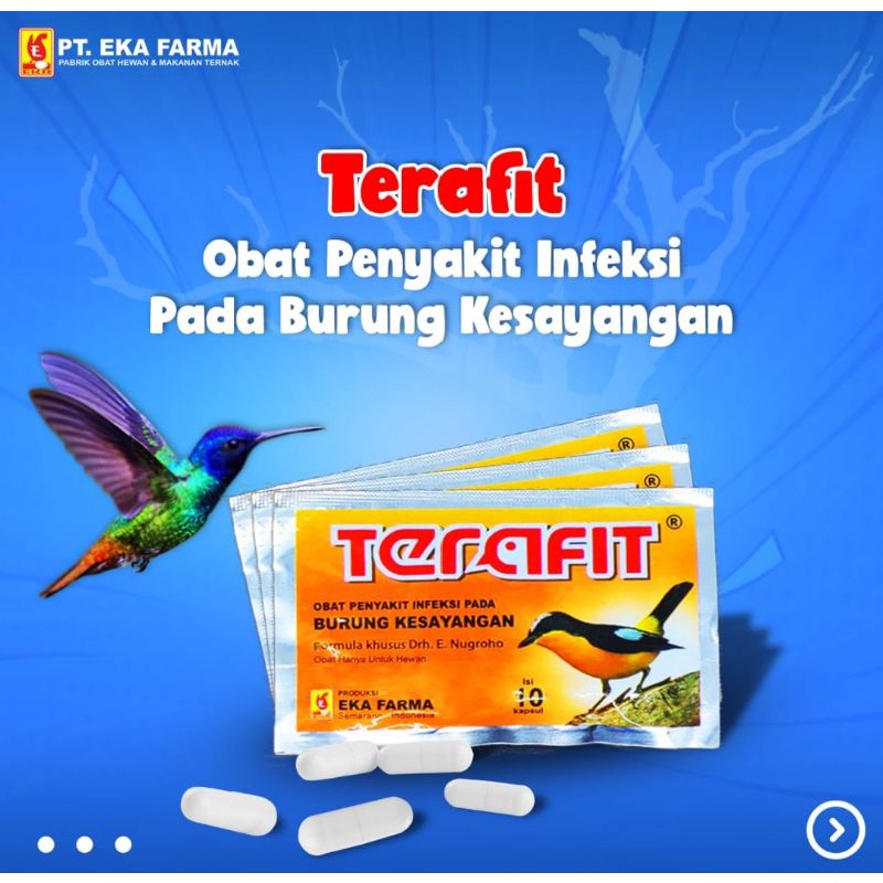 Terafit Eka farma obat burung sakit mencret kurus nyilet sakit pilek lesu ngantuk isi 10 kapsul