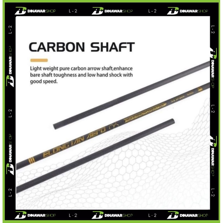 Arrow Full Carbon IAN AERO 3.2mm Spine 700 Elong