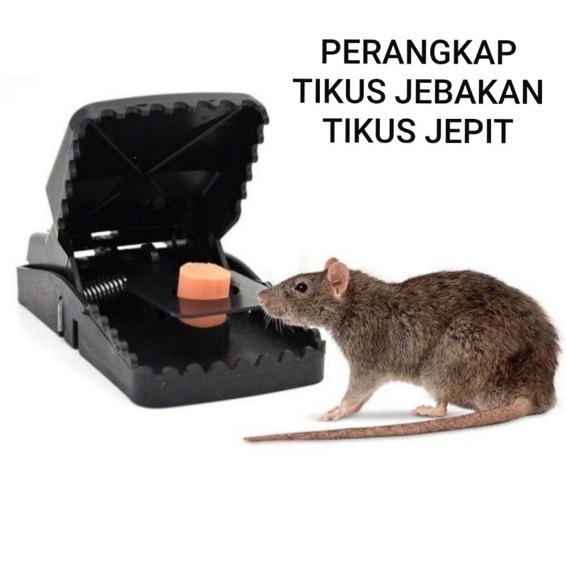 Perangkap Tikus Jepit Ampuh Jebakan Tikus Ukuran Sedang Alat Penjepit Tikus Mempan