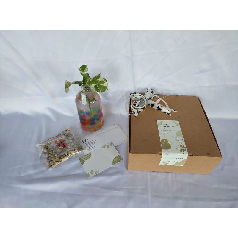 HAMPERS DIY PLANTING KIT