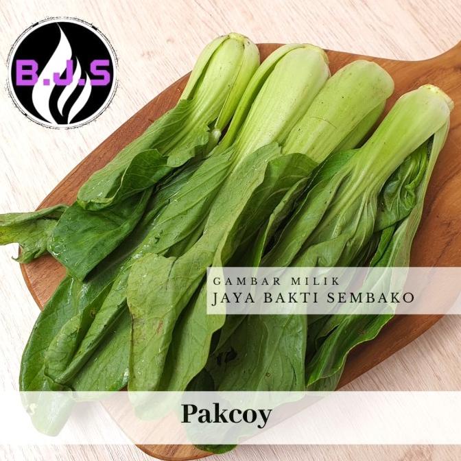 

BIG SALE SAYUR PAK CHOY 1KG ORIGINAL
