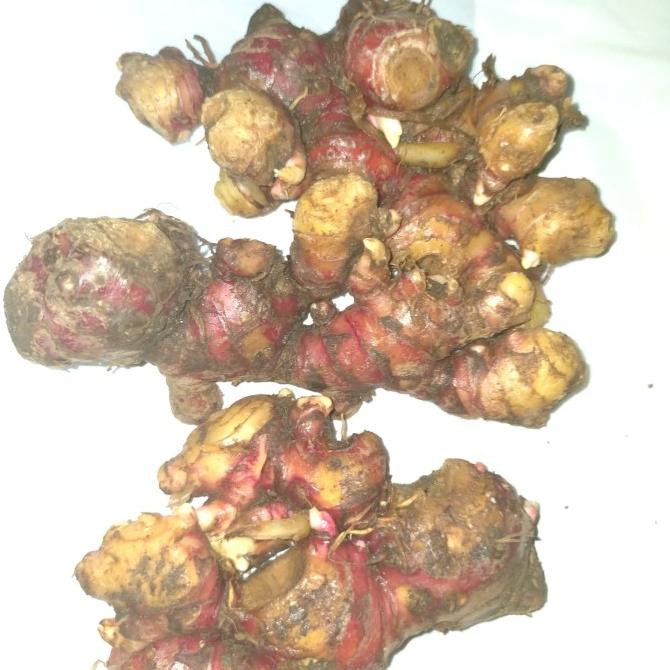 

TERBARU JAHE MERAH BERSIH SUPER 1KG STOK TERBATAS