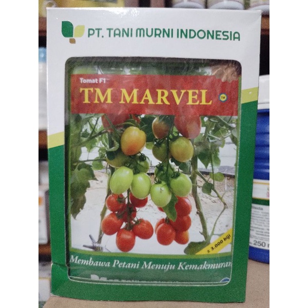benih TOMAT F1 TM MARVEL 3000 BIJI