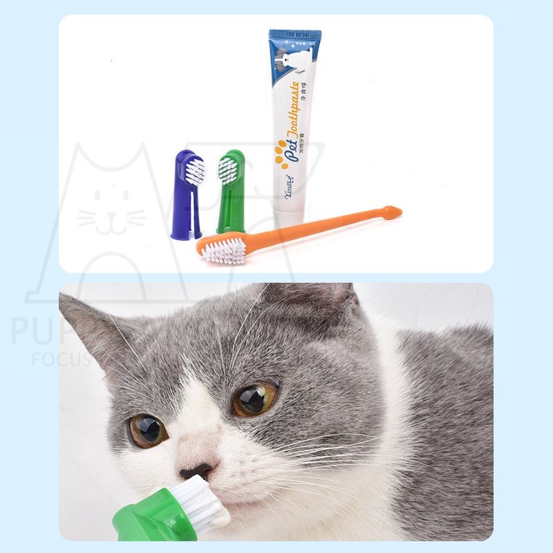 3 in 1 Set Sikat Gigi Kucing dan Odol Sikat Gigi Kucing Anjing