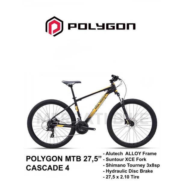 Polygon Cascade 4