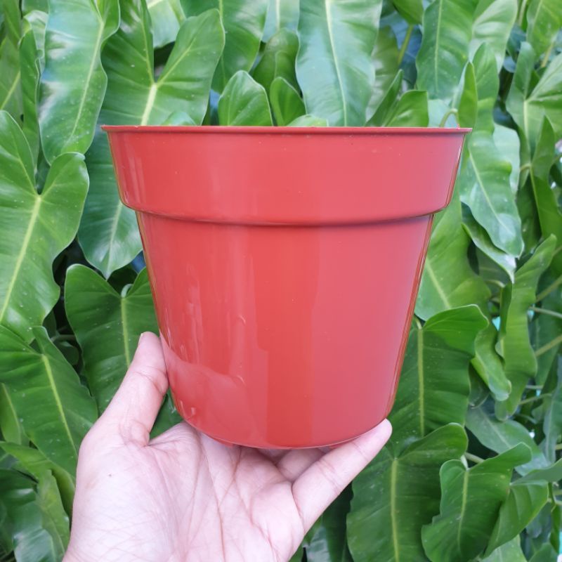 Pot Tinggi Srondol 15 Pot Bibit Pot Bunga Basic Polos Warna Hitam Putih Merah Bata