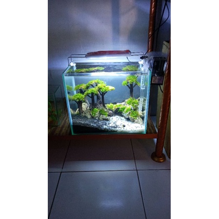 Aquascape mini uk 30cm fullset