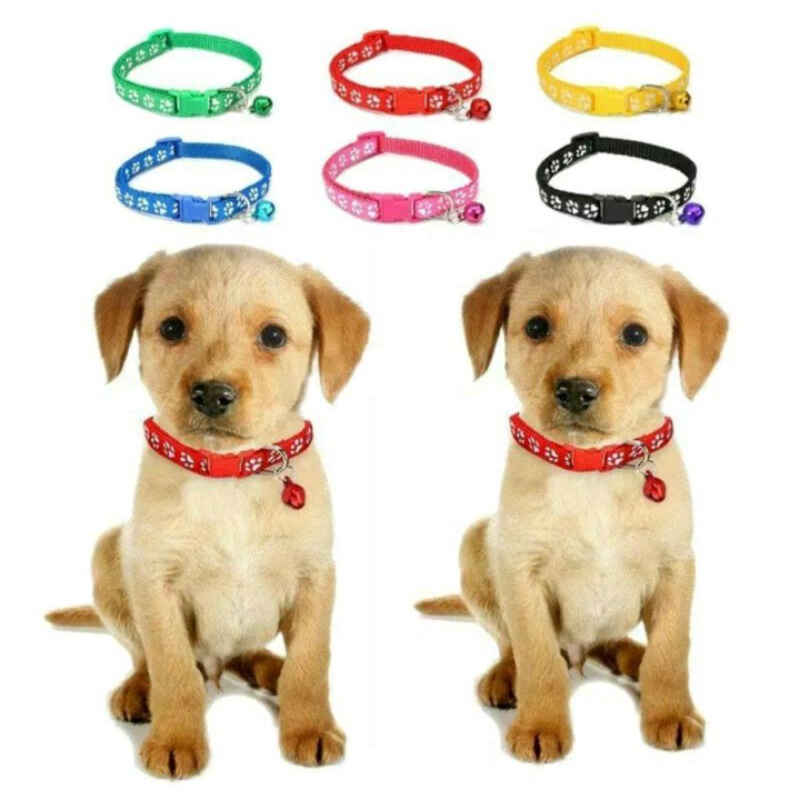 PET COLLAR KALUNG LONCENG KUCING, KALUNG ANJING KALUNG KELINCI KALUNG HEWAN PELIHARAAN CAT DOG COLLAR