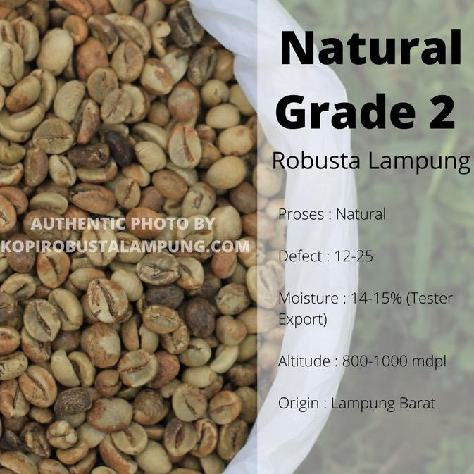 

Sale Green Bean Robusta Lampung Grade 2 - Natural Process /KOPI RUBE/KOPI KAPAL API/KOPI SLB/KOPI PEJUANG/KOPI BUBUK