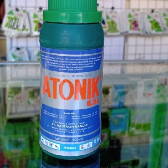 ATONIK 100 ml - zpt atonik 6.5L